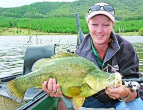 The golden perch action at Mannus Lake, near Tumbarumba, has been sensational with fish of this size common. Catch rates will slow this month and anglers would be better off targeting the resident trout.